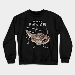 Hognose Snake Anatomy Crewneck Sweatshirt